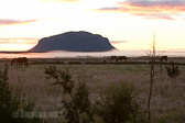 IMG_0401.jpg