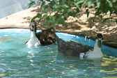 IMG_9392.jpg