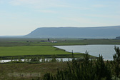 IMG_9595.jpg