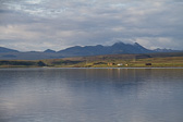 IMG_0850.jpg