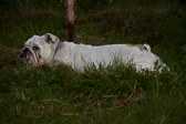 IMG_0865.jpg
