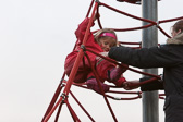 IMG_3442.jpg