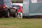 IMG_3451.jpg