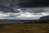IMG_0990.jpg