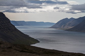 IMG_1000.jpg