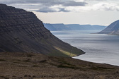 IMG_1005.jpg