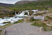 IMG_1026.jpg
