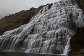 IMG_1102.jpg