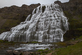 IMG_1104.jpg