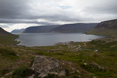 IMG_1110.jpg