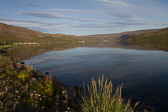 IMG_1174.jpg