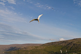 IMG_1224.jpg