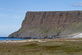 IMG_1618.jpg