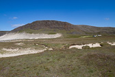 IMG_1627.jpg