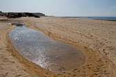 IMG_1637.jpg