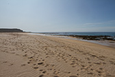 IMG_1638.jpg