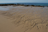 IMG_1649.jpg