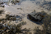IMG_1664.jpg