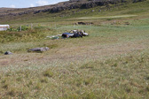 IMG_1676.jpg