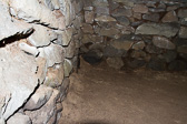 IMG_1694.jpg