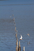 IMG_1746.jpg
