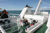 IMG_1451.jpg