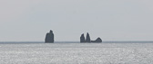 IMG_1455.jpg
