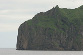 IMG_1481.jpg