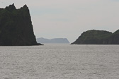 IMG_1485.jpg