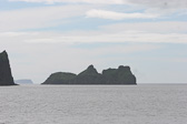 IMG_1486.jpg