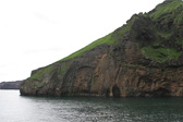 IMG_1499.jpg