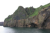 IMG_1516.jpg