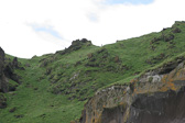 IMG_1517.jpg