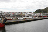 IMG_1540.jpg