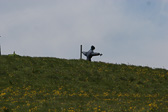 IMG_2226.jpg