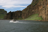 IMG_2251.jpg