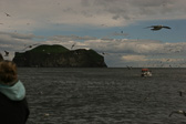 IMG_2322.jpg