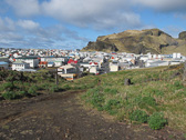 IMG_3971.jpg
