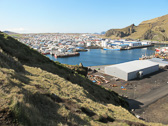 IMG_4060.jpg