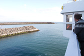 IMG_6452.jpg