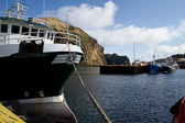 IMG_6571.jpg
