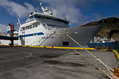 IMG_6585.jpg
