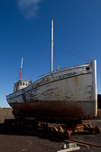 IMG_6631.jpg