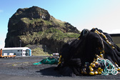 IMG_6636.jpg