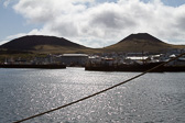 IMG_6648.jpg