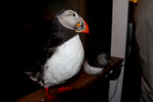 IMG_6701.jpg