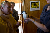 IMG_6725.jpg