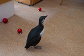 IMG_6726.jpg