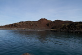 IMG_6775.jpg