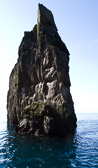IMG_6783.jpg